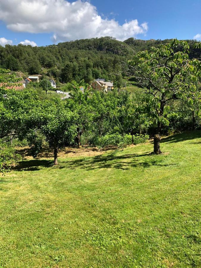 Sokndal - Cozy Vacation Home In Peaceful Surroundings Algard  외부 사진